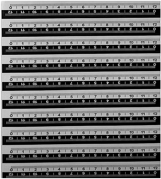 12cm黑白雙色不干膠比例尺1