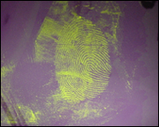 forensic_evidence_fingerprint2